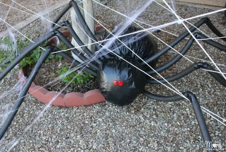 Image for Giant Spider in Spiderweb