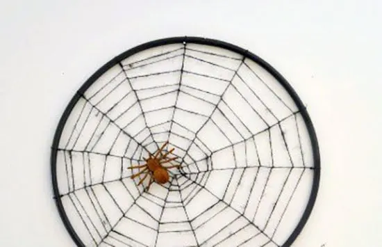 Image for Hula Hoop Spider Web