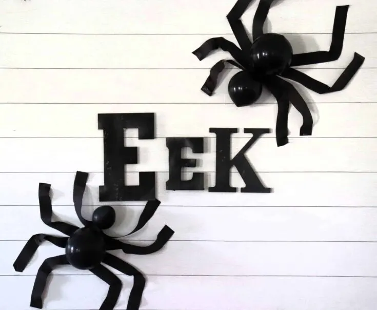 Image for Easy Spider Decoration